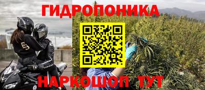 крисы Бузулук